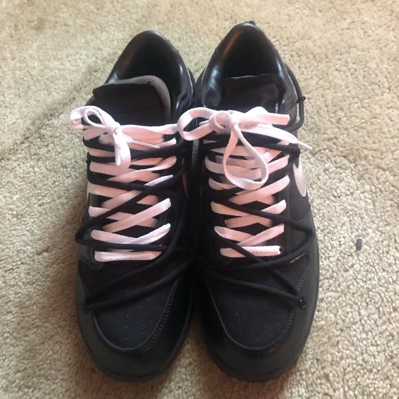Nike | Shoes | Off White Dunks Low No Off White Tag Dog 